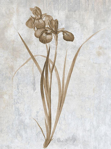 Earth Balance 2 Black Ornate Wood Framed Art Print with Double Matting by Lewis, Sheldon