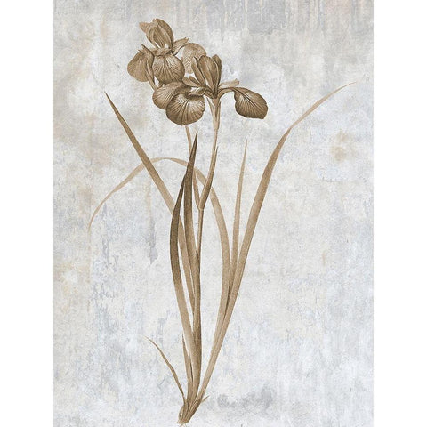 Earth Balance 2 Black Modern Wood Framed Art Print by Lewis, Sheldon