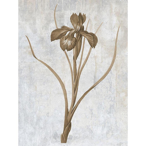 Earth Balance 3 Gold Ornate Wood Framed Art Print with Double Matting by Lewis, Sheldon