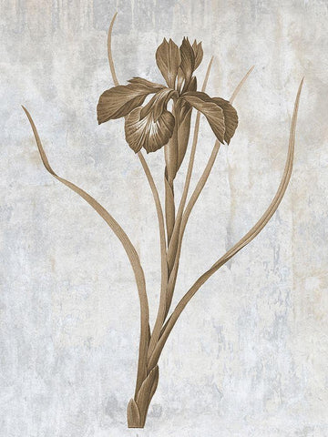 Earth Balance 3 White Modern Wood Framed Art Print with Double Matting by Lewis, Sheldon