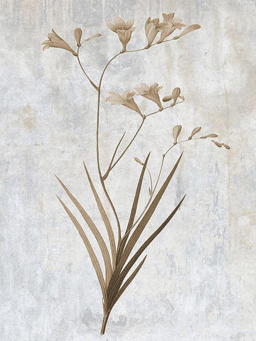 Earth Balance 4 Black Ornate Wood Framed Art Print with Double Matting by Lewis, Sheldon