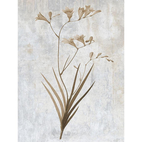 Earth Balance 4 White Modern Wood Framed Art Print by Lewis, Sheldon