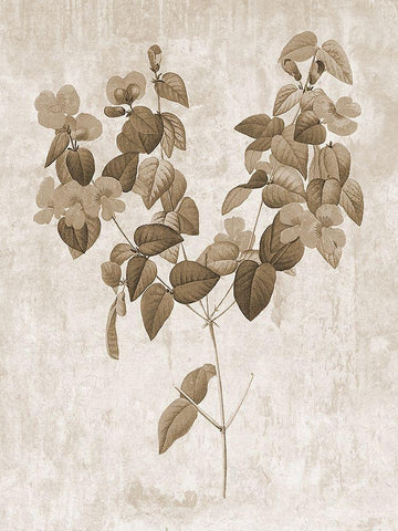 Earth Balance 6 Black Ornate Wood Framed Art Print with Double Matting by Lewis, Sheldon