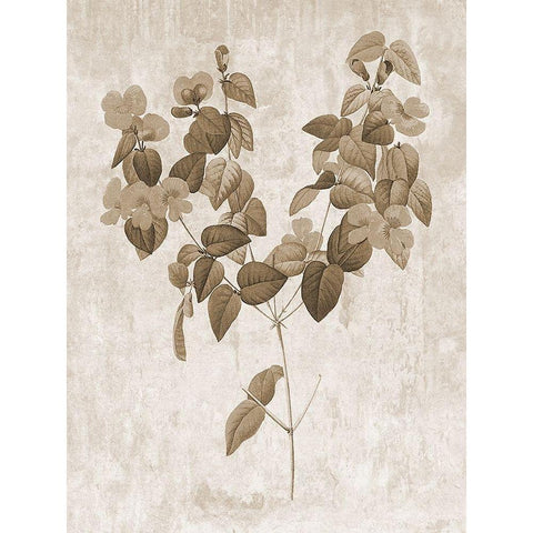 Earth Balance 6 Black Modern Wood Framed Art Print with Double Matting by Lewis, Sheldon