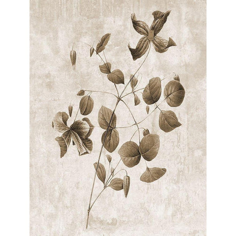 Earth Balance 8 White Modern Wood Framed Art Print by Lewis, Sheldon