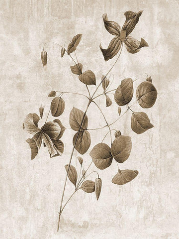 Earth Balance 8 Black Ornate Wood Framed Art Print with Double Matting by Lewis, Sheldon