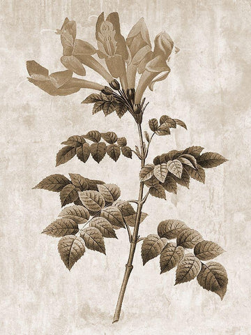 Earth Balance 9 Black Ornate Wood Framed Art Print with Double Matting by Lewis, Sheldon