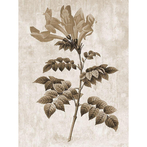 Earth Balance 9 Black Modern Wood Framed Art Print by Lewis, Sheldon