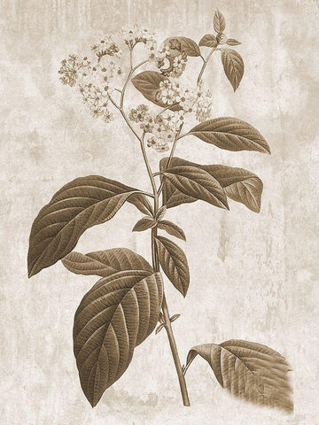 Earth Balance 10 Black Ornate Wood Framed Art Print with Double Matting by Lewis, Sheldon