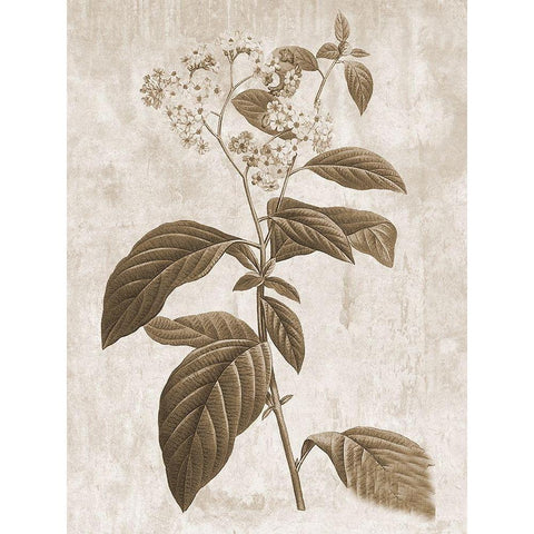 Earth Balance 10 Black Modern Wood Framed Art Print with Double Matting by Lewis, Sheldon