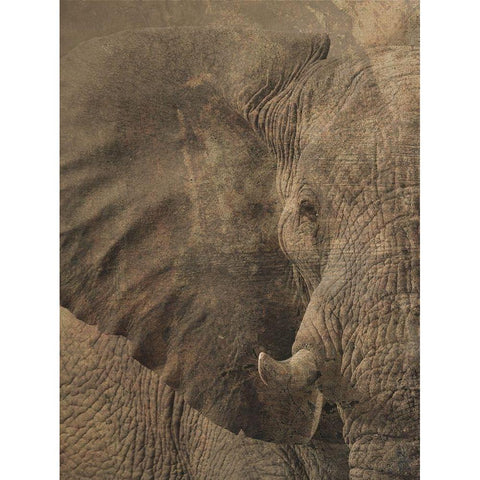 Heard The Heard 1 Black Modern Wood Framed Art Print with Double Matting by Lewis, Sheldon