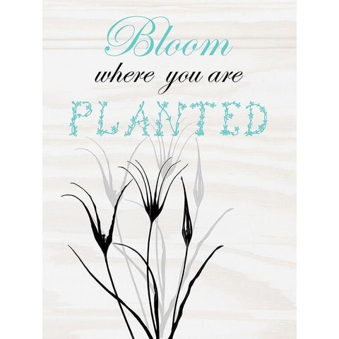 Bloom White Modern Wood Framed Art Print by Lewis, Sheldon