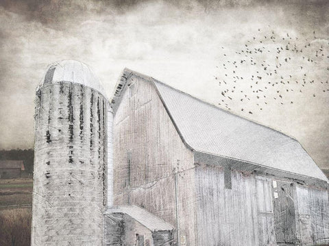 Grainhouse Black Ornate Wood Framed Art Print with Double Matting by Lewis, Sheldon