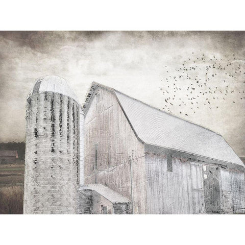 Grainhouse White Modern Wood Framed Art Print by Lewis, Sheldon