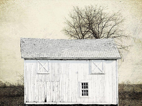 Out Field White Modern Wood Framed Art Print with Double Matting by Lewis, Sheldon