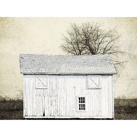 Out Field White Modern Wood Framed Art Print by Lewis, Sheldon