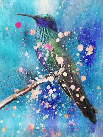 Hummer White Modern Wood Framed Art Print with Double Matting by Lewis, Sheldon