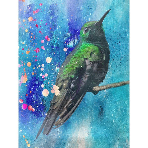Hummer 2 Black Modern Wood Framed Art Print with Double Matting by Lewis, Sheldon