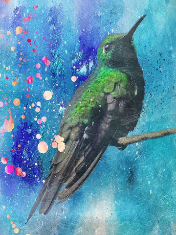 Hummer 2 Black Ornate Wood Framed Art Print with Double Matting by Lewis, Sheldon