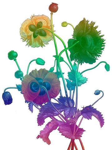 Color Bloom White Modern Wood Framed Art Print with Double Matting by Lewis, Sheldon