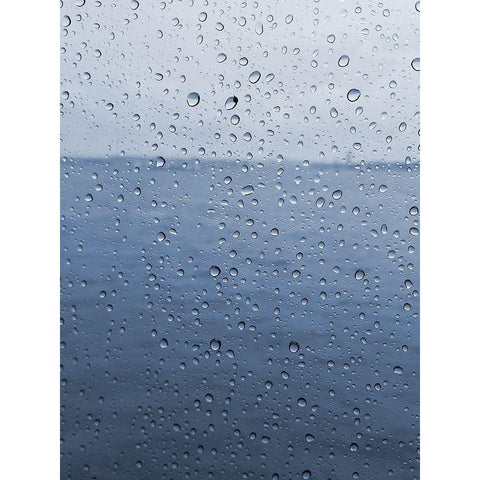 Rain Drops Black Modern Wood Framed Art Print by Lewis, Sheldon