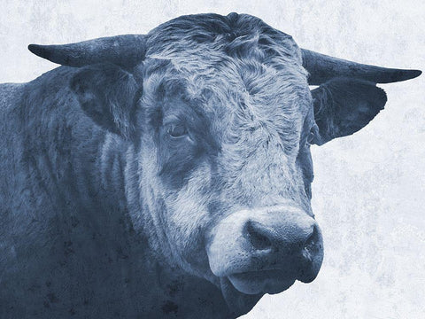 Tone And Tonal Bull White Modern Wood Framed Art Print with Double Matting by Lewis, Sheldon