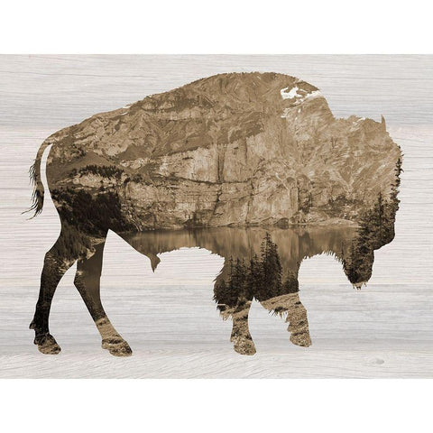 Western Mountain Black Modern Wood Framed Art Print with Double Matting by Lewis, Sheldon