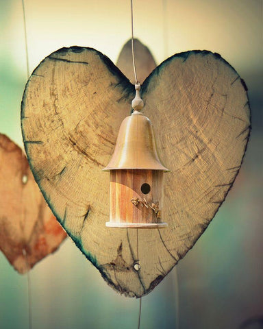 Birds White Modern Wood Framed Art Print with Double Matting by Lewis, Sheldon