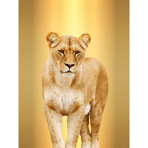 Leony Gold Ornate Wood Framed Art Print with Double Matting by Lewis, Sheldon