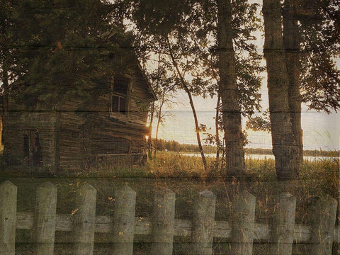 Lake House Black Ornate Wood Framed Art Print with Double Matting by Lewis, Sheldon