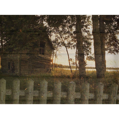 Lake House White Modern Wood Framed Art Print by Lewis, Sheldon