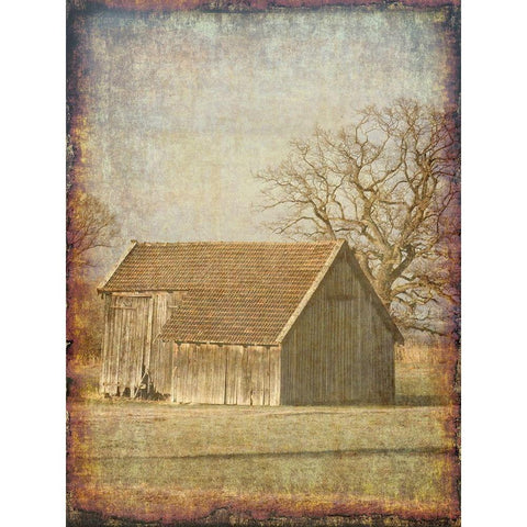 Old Farm View Gold Ornate Wood Framed Art Print with Double Matting by Lewis, Sheldon