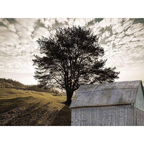 Landscape Black Modern Wood Framed Art Print with Double Matting by Lewis, Sheldon