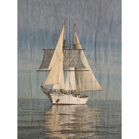 Yacht Club Black Modern Wood Framed Art Print by Lewis, Sheldon
