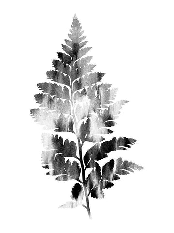 Faded Fern 2 White Modern Wood Framed Art Print with Double Matting by Lewis, Sheldon