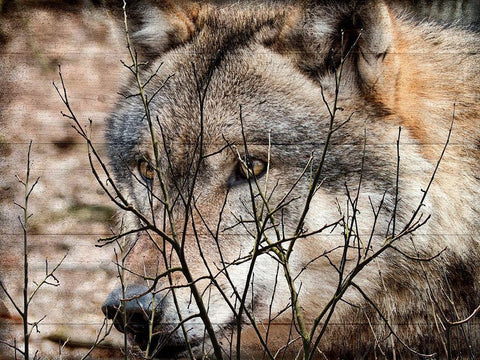 Hunt Black Ornate Wood Framed Art Print with Double Matting by Lewis, Sheldon