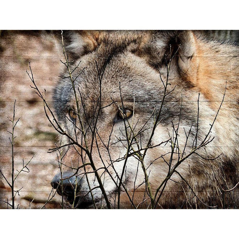 Hunt Black Modern Wood Framed Art Print by Lewis, Sheldon