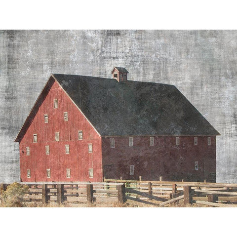 Barn Yard White Modern Wood Framed Art Print by Lewis, Sheldon