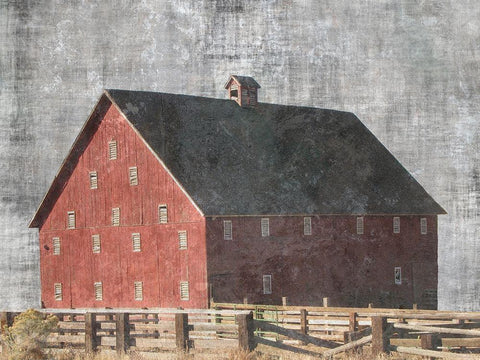 Barn Yard White Modern Wood Framed Art Print with Double Matting by Lewis, Sheldon