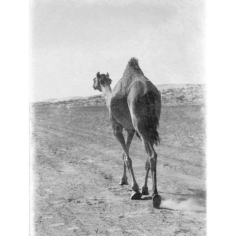 On My Way 2 White Modern Wood Framed Art Print by Lewis, Sheldon