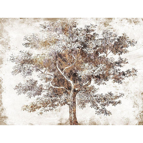 Meadow Wood 2 Black Modern Wood Framed Art Print by Lewis, Sheldon