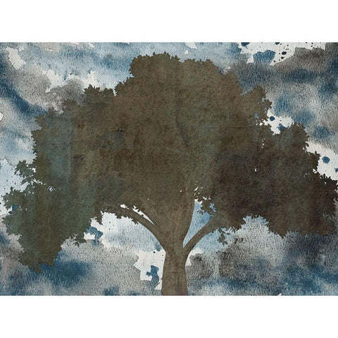 Back Woods Black Modern Wood Framed Art Print with Double Matting by Lewis, Sheldon