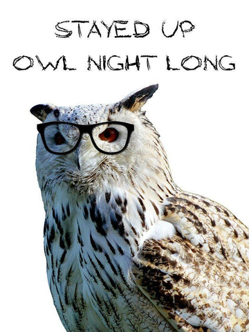 Owl Night White Modern Wood Framed Art Print with Double Matting by Lewis, Sheldon