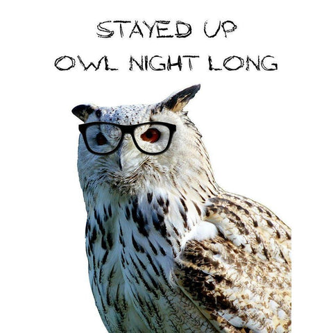 Owl Night Black Modern Wood Framed Art Print by Lewis, Sheldon