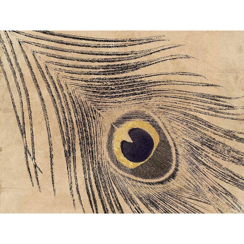 Gold Line Peacock White Modern Wood Framed Art Print by Lewis, Sheldon