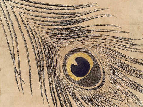 Gold Line Peacock Black Ornate Wood Framed Art Print with Double Matting by Lewis, Sheldon