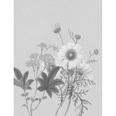 Parisian Spring 2 White Modern Wood Framed Art Print by Lewis, Sheldon