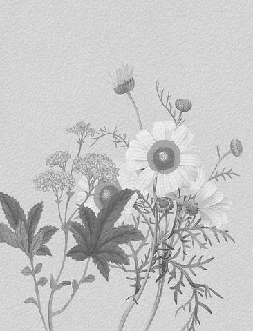 Parisian Spring 2 White Modern Wood Framed Art Print with Double Matting by Lewis, Sheldon