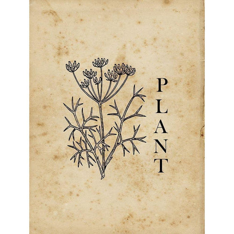 Plant White Modern Wood Framed Art Print by Lewis, Sheldon