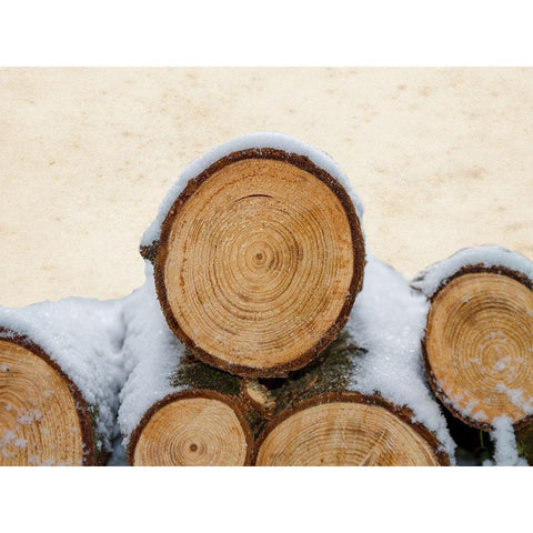 Lumberjack White Modern Wood Framed Art Print by Lewis, Sheldon